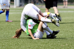 fullsizeoutput_9440_mini