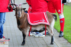 1-fc-koeln-bayern-muenchen-2-von-36