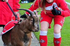 1-fc-koeln-bayern-muenchen-4-von-36