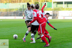 1-fc-koeln-bayern-muenchen-8-von-36