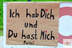 DSC_8779_mini