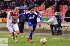 1.-FC-Koeln-1.-FFC-Turbine-Potsdam-14-von-16