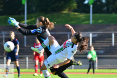 DFB-Pokal-Borussia-MG-1.-FC-Koeln-1-von-20