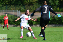 DFB-Pokal-Borussia-MG-1.-FC-Koeln-3-von-20