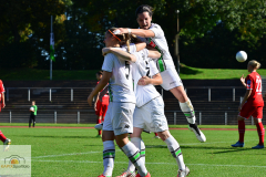 DFB-Pokal-Borussia-MG-1.-FC-Koeln-5-von-20