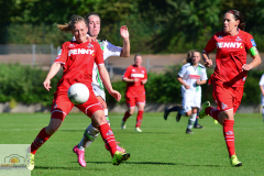 DFB-Pokal-Borussia-MG-1.-FC-Koeln-9-von-20