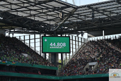 MK_DFB_FIN228951-min