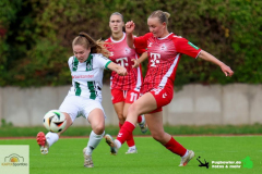 08_09_24_bmg_-_koln__33