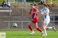 2.-Runde-DFB-Pokal-24-25-in-Gladbach-9-8-22