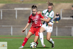 2.-Runde-DFB-Pokal-24-25-in-Gladbach-9-8-81