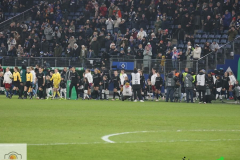 13_02_25_HSV_-_BMG__24