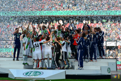 dfb-pokal-finale-2013-33-von-42