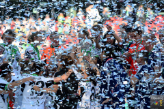 dfb-pokal-finale-2013-34-von-42