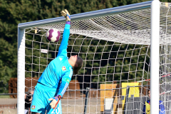 sgs-essen-bayer-04-leverkusen-5-von-18