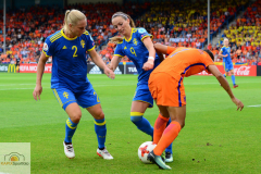 Niederlande-Schweden-19-von-35_mini