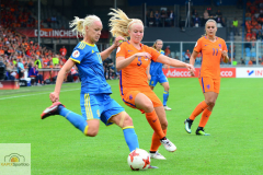Niederlande-Schweden-29-von-35_mini