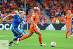 Niederlande-Schweden-31-von-35_mini