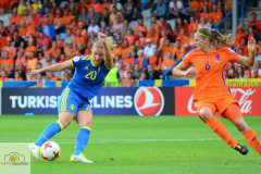 Niederlande-Schweden-32-von-35_mini