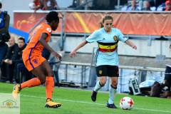 Belgien-Niederlande-18-von-25_mini