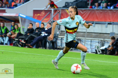 Belgien-Niederlande-25-von-25_mini