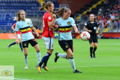 Norwegen-Belgien-19-von-25_mini