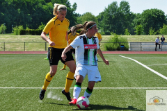 DSC_0926_mini