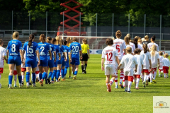 FC-Meppen-1-2-20.-Splt.-9515-min