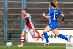 FC-Meppen-1-2-20.-Splt.-9851-min