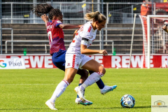 1.-SpltgFC-RB-2zu1-135-min