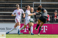 19.-Spltg.-FC-Freiburg-2zu0-151-min