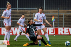 19.-Spltg.-FC-Freiburg-2zu0-43-min