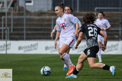 19.-Spltg.-FC-Freiburg-2zu0-55-min