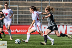 19.-Spltg.-FC-Freiburg-2zu0-63-min