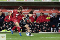 8.-Spltg.-Freiburg-FC-3zu3-44-min
