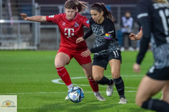8.-Spltg.-Freiburg-FC-3zu3-55-min