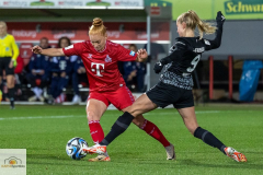 8.-Spltg.-Freiburg-FC-3zu3-66-min