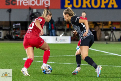 8.-Spltg.-Freiburg-FC-3zu3-71-min