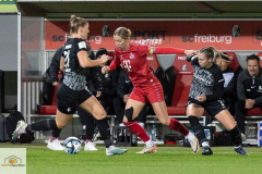 8.-Spltg.-Freiburg-FC-3zu3-73-min