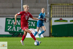 8.-Spltg.-Freiburg-FC-3zu3-78-min