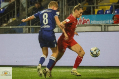 18.-Spltg.-Hoffenheim-FC-1zu1-201-min