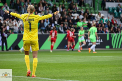 20.-Spltg.-Wolfsburg-FC-5zu1-112-min