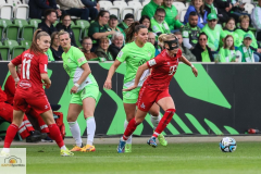 20.-Spltg.-Wolfsburg-FC-5zu1-134-min