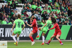 20.-Spltg.-Wolfsburg-FC-5zu1-146-min