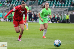 20.-Spltg.-Wolfsburg-FC-5zu1-165-min