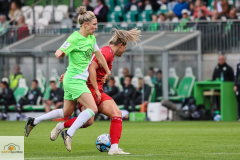 20.-Spltg.-Wolfsburg-FC-5zu1-207-min