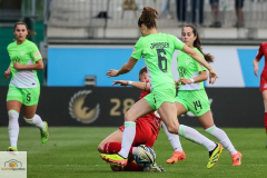 20.-Spltg.-Wolfsburg-FC-5zu1-214-min