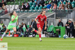 20.-Spltg.-Wolfsburg-FC-5zu1-217-min