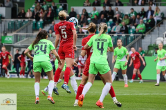 20.-Spltg.-Wolfsburg-FC-5zu1-228-min
