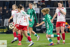 10.-Spltg.-FC-Bremen-1zu4-14-min