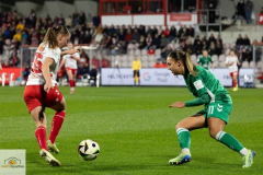 10.-Spltg.-FC-Bremen-1zu4-33-min